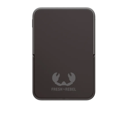 (20W) 5000mAh Dual USB C Powerbank Power Delivery Ladegerät   Kickstand (2PBM5000SG) - Storm Grey