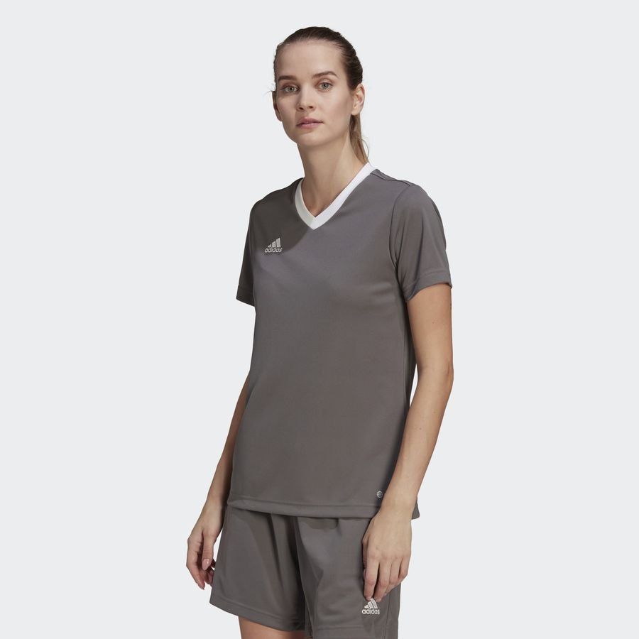 adidas T-shirt d'Entraînement Entrada 22 - Gris Femme