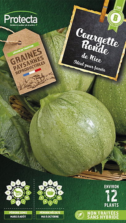 Graine de courgette ronde de Nice Protecta