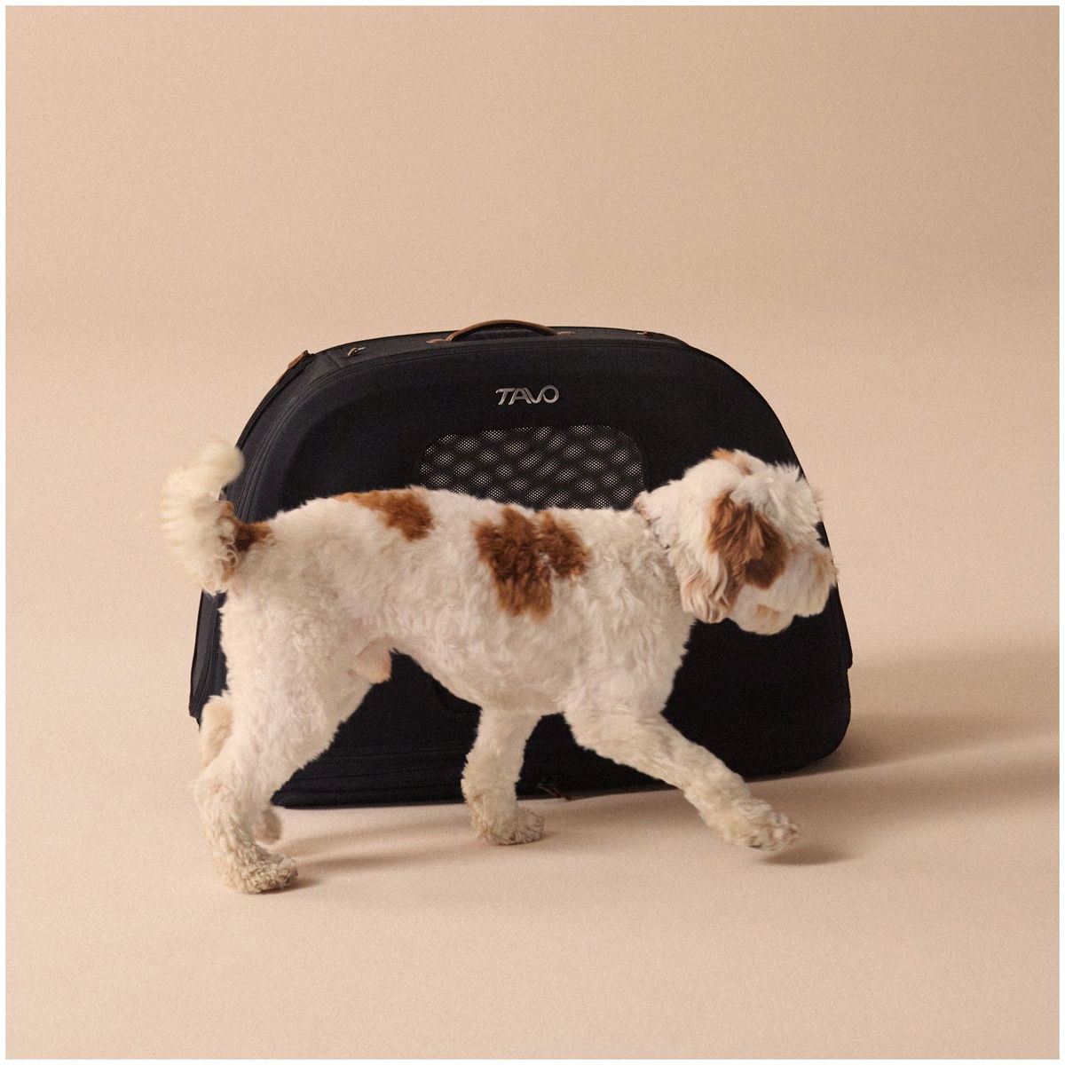 Tavo PetsTavo Pets   Crispin Transportbox onyx Large