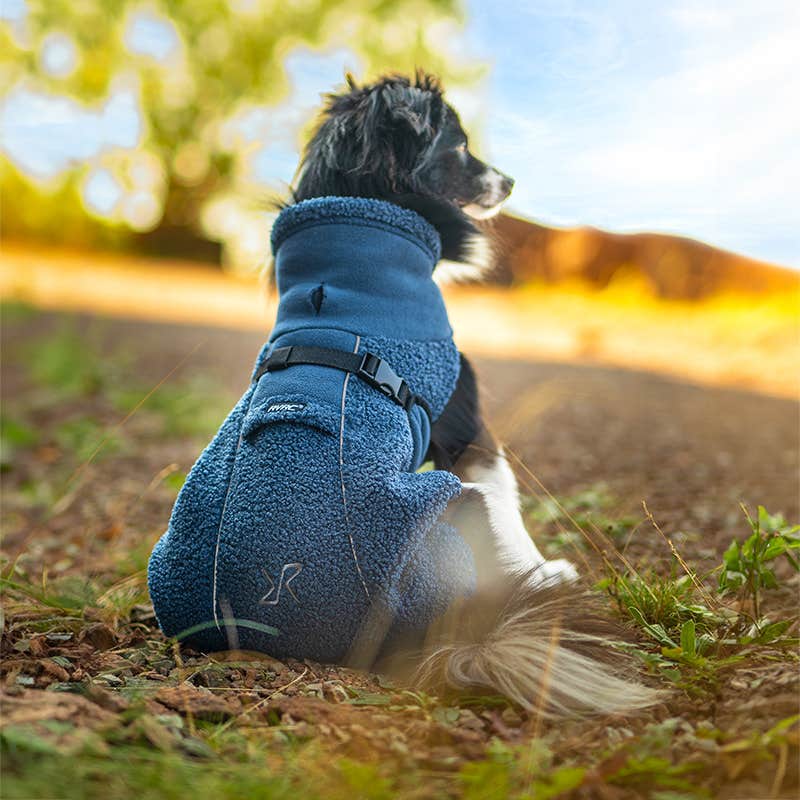 Bigfoot Dog Jacket Hund Moonlit Ocean