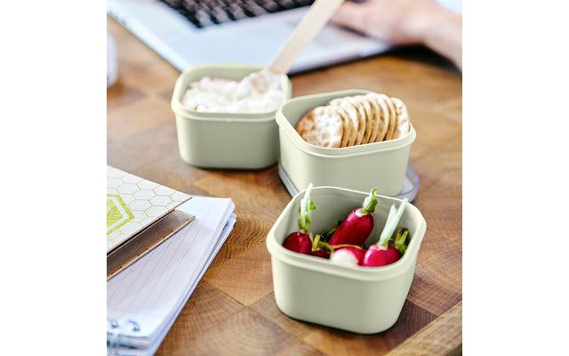 Sunware Sigma home Food to go Lunchbox 3er-Set