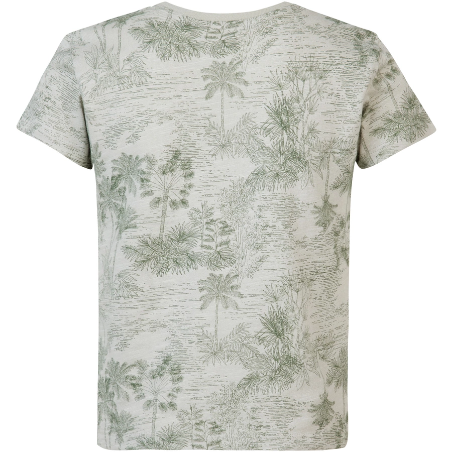 Noppies T-shirt Ricardo Willow Grey