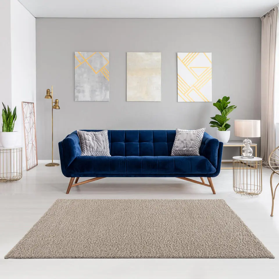 Loca Shaggy Vloerkleed Beige Hoogpolig - 300x400 CM