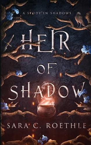 Heir of Shadow (Paperback)