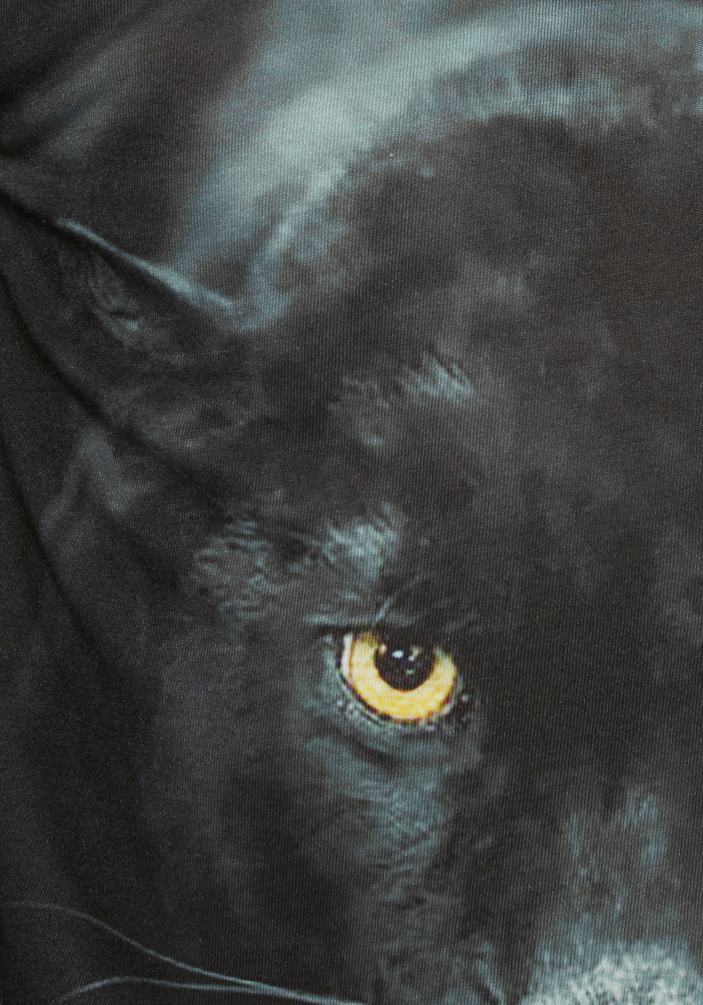 KIDSWORLD Kapuzenshirt »PANTHER - Fotodruck«, Langarm,  Basic-Passform,  mit peppigem Druck,  aus  Baumwolle