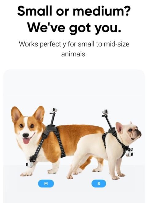 Insta360 - GO 3/GO 3S Pet Harness Mount Size S