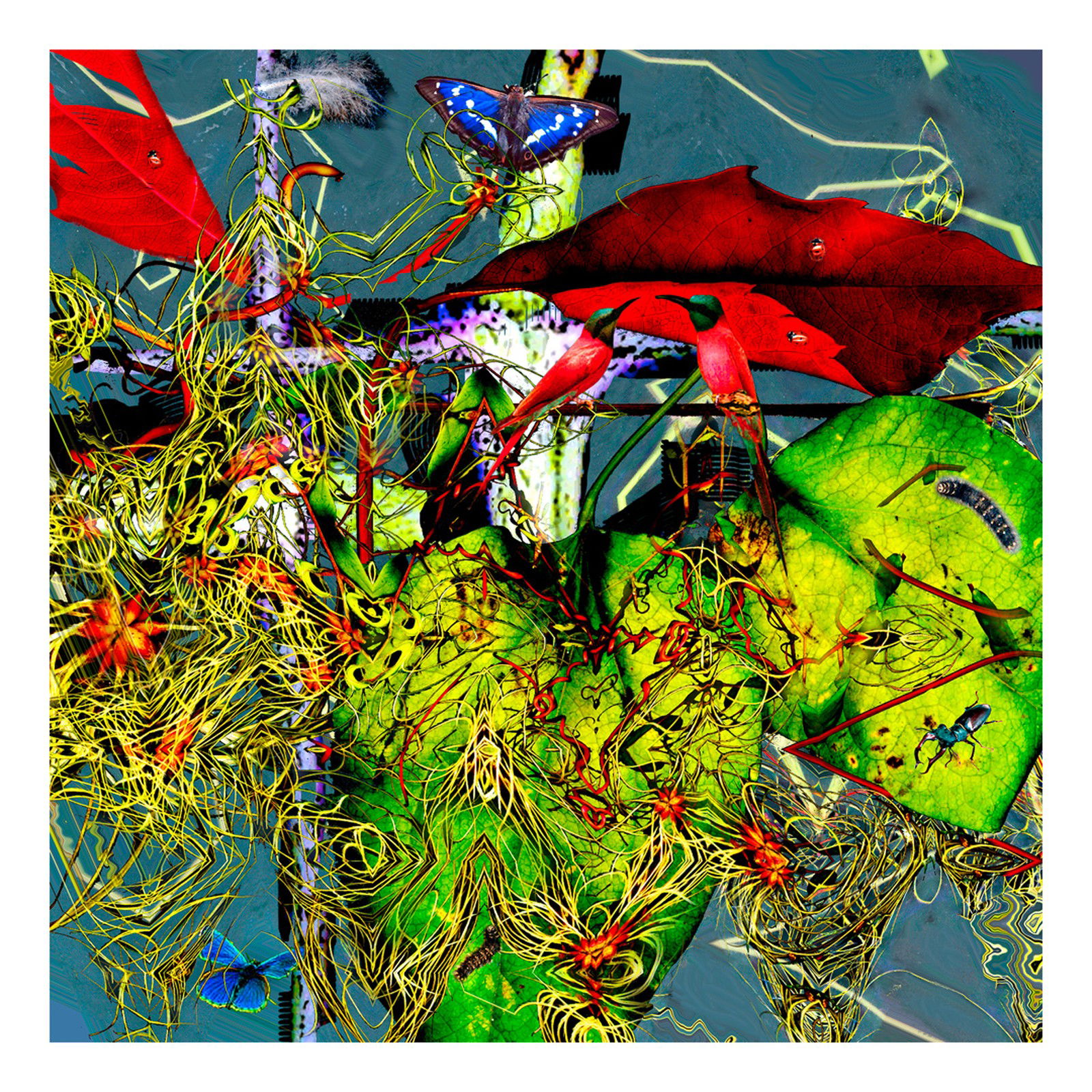 Summerday by Heidrun Göres - Limited Edition. Edition of: 150. Signed.