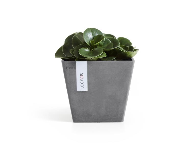 Ecopots Pflanzentopf Rotterdam 20 Grau Blumentopf