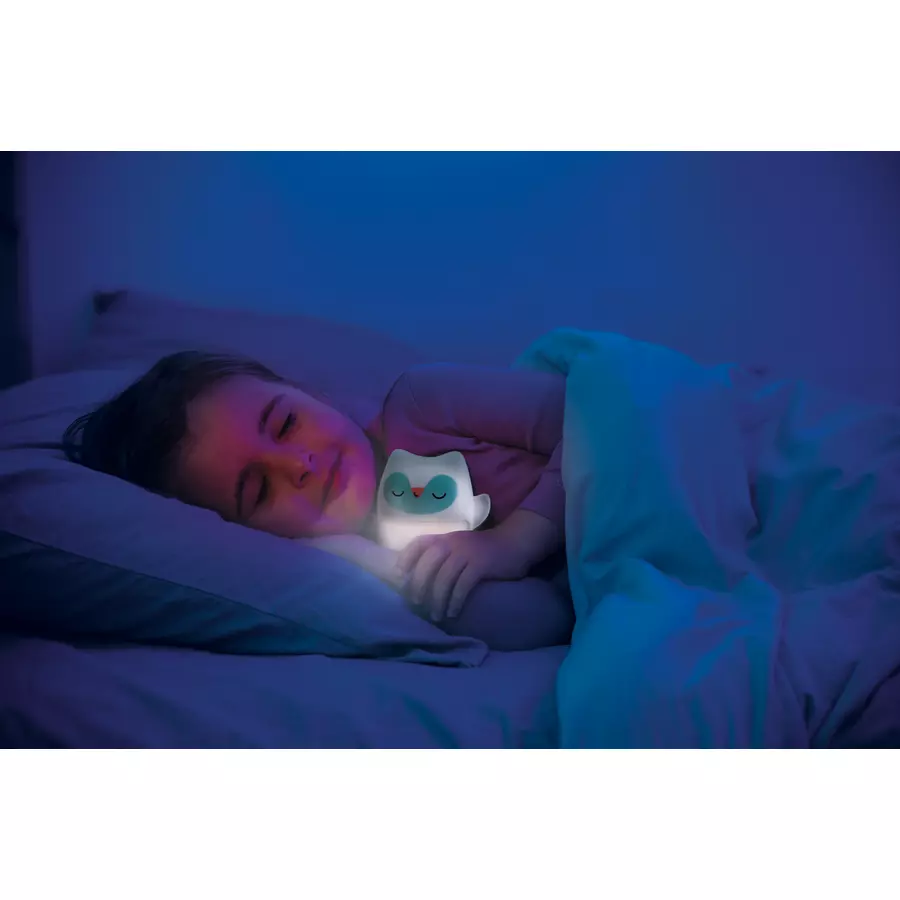 Infantino Nachtlicht und Glow-in-the-dark kuschliges Eulen-Geschenkset