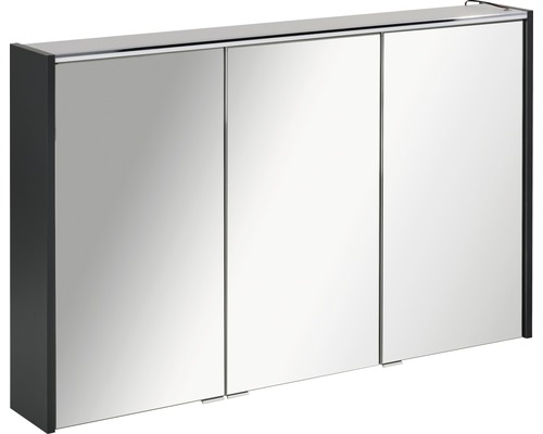 FACKELMANN Denver spiegelkast, 110 x 16 x 68,5 cm, antraciet, 3-deurs, LED, IP20