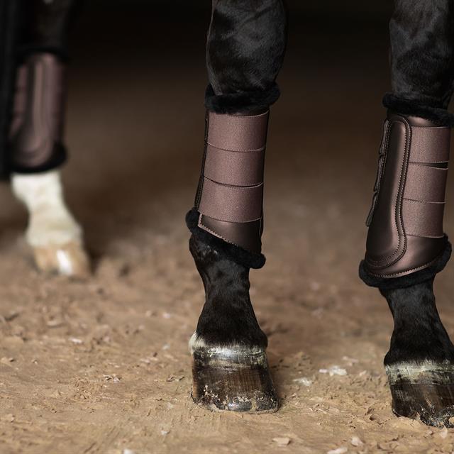 Beenbeschermers Equestrian Stockholm Mocha Bruin