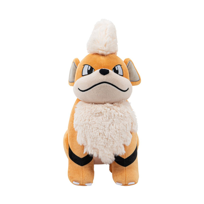 Pokémon - Plüsch - 30cm - 1 Stück