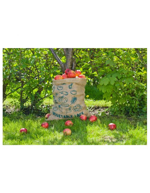 Nature Jute Opbergzak - 33l - Klim-En Geleide Artikel - 33 l Naturel 2 stuks