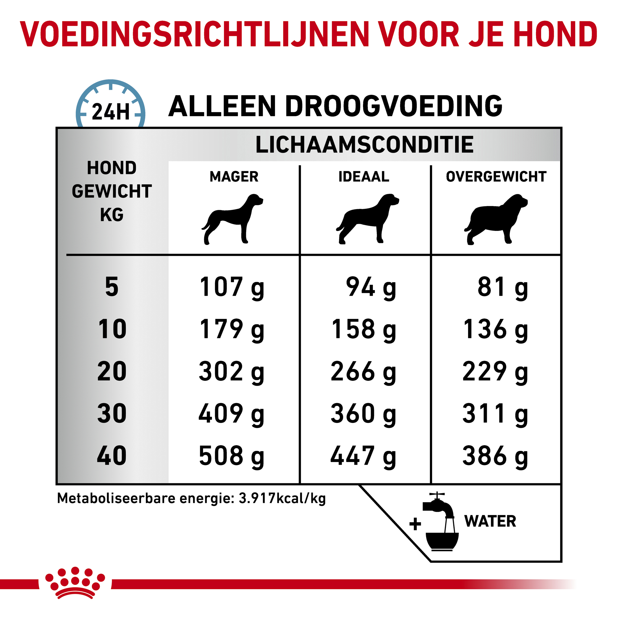 Royal Canin Anallergenic Hond