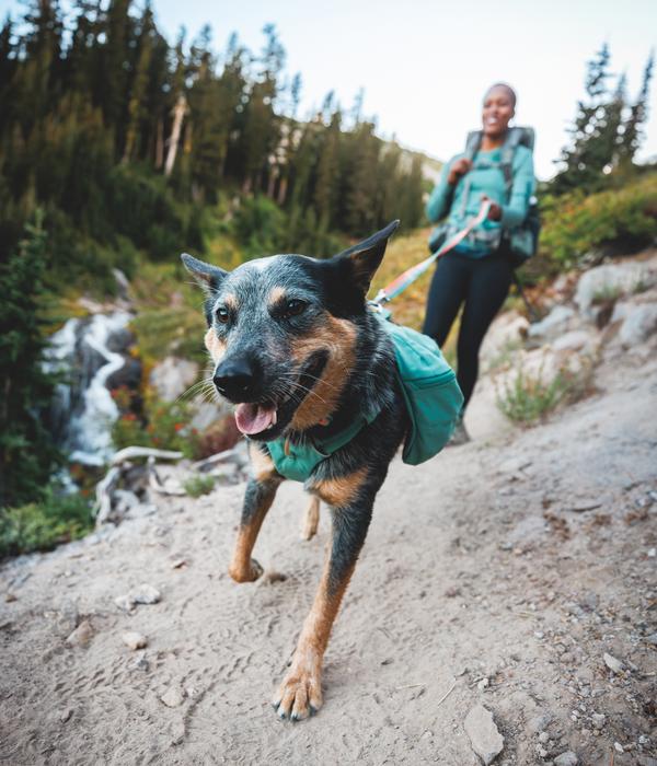 RUFFWEAR® Tagesrucksack Front Range™