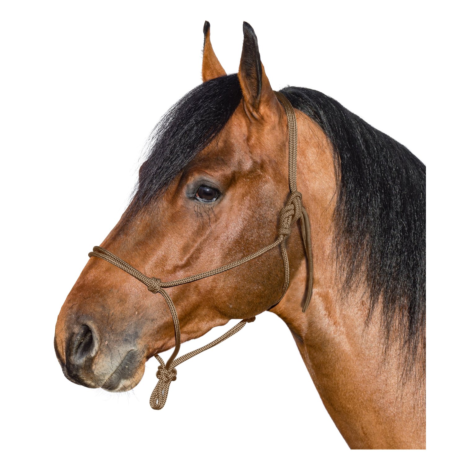 BROCKAMP Knotenhalfter Horse-Man-Halfter  - beige