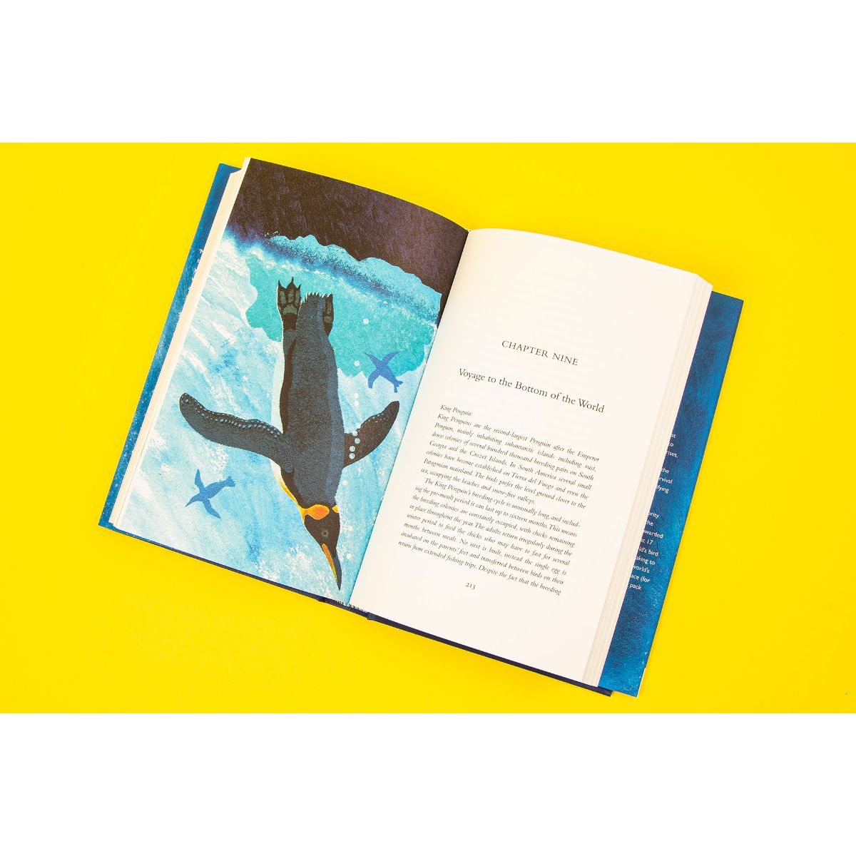 Birdgirl (Hardback)