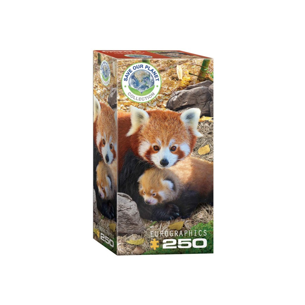 Puzzle - Pandas Roux - 250 Pièces