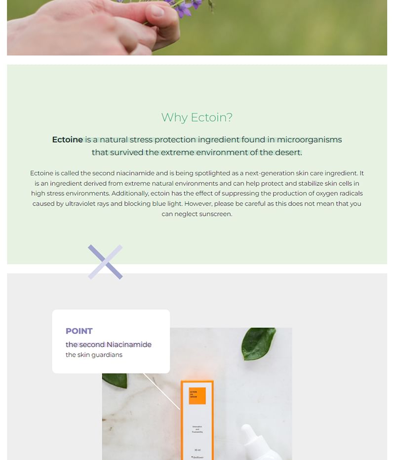 Bellflower - Ectoin 3% Serum
