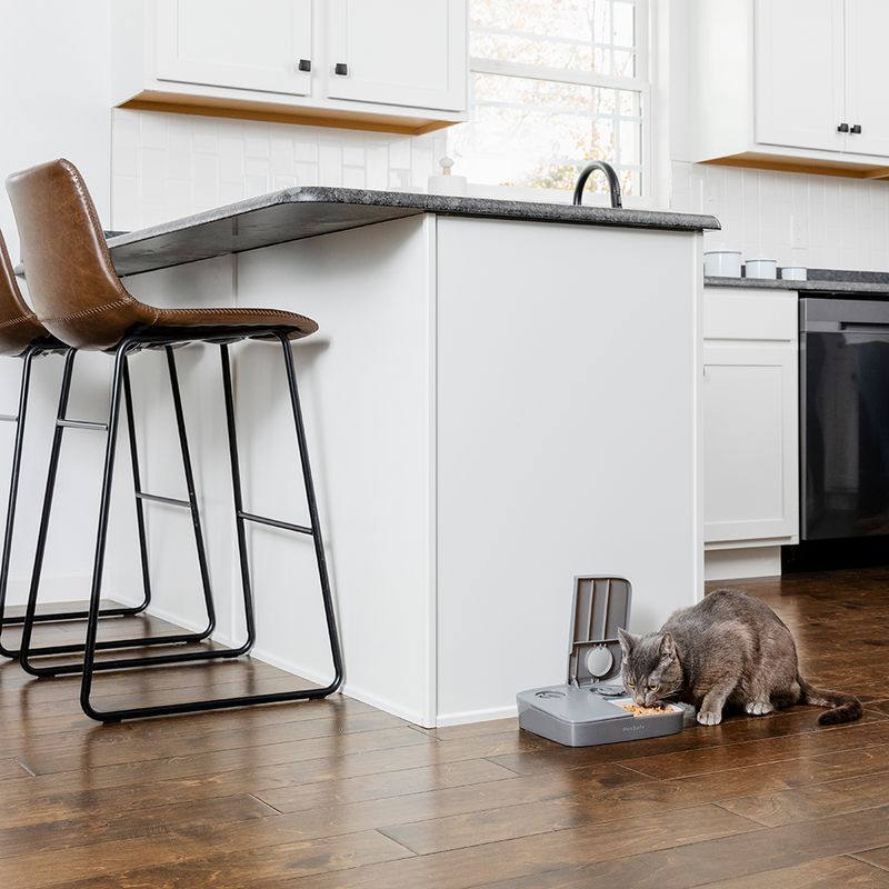PetSafe Distributeur automatique de nourriture 2 repas