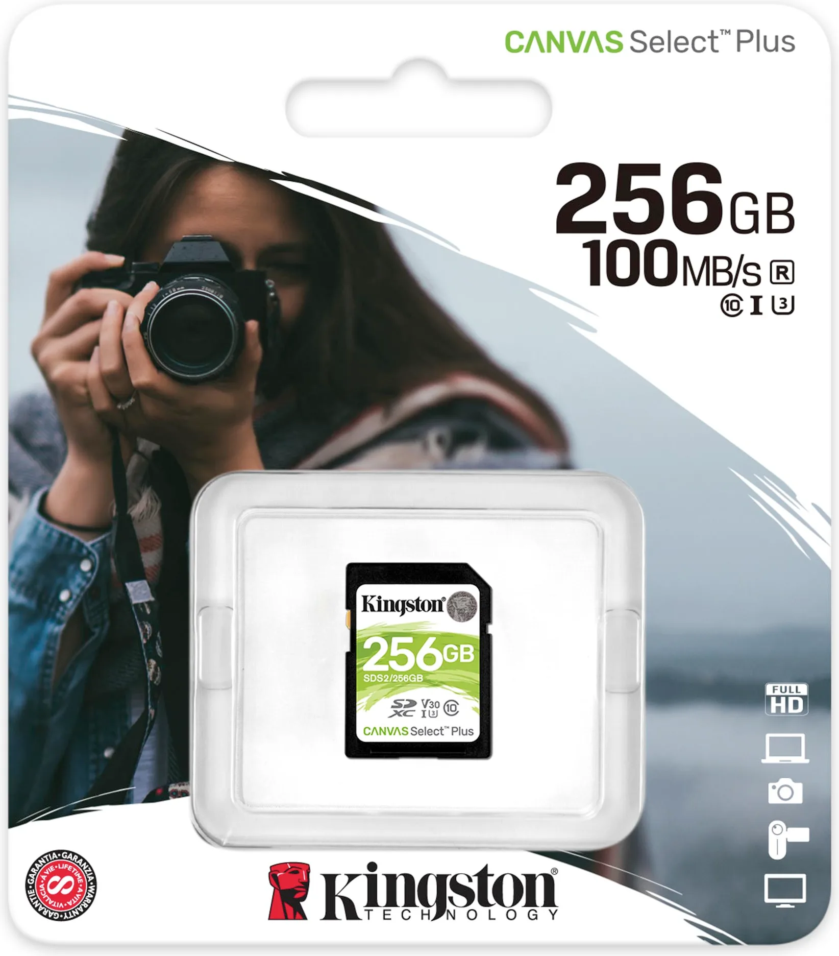 Kingston SDXC Class 10 (256 Go) Cartes mémoires