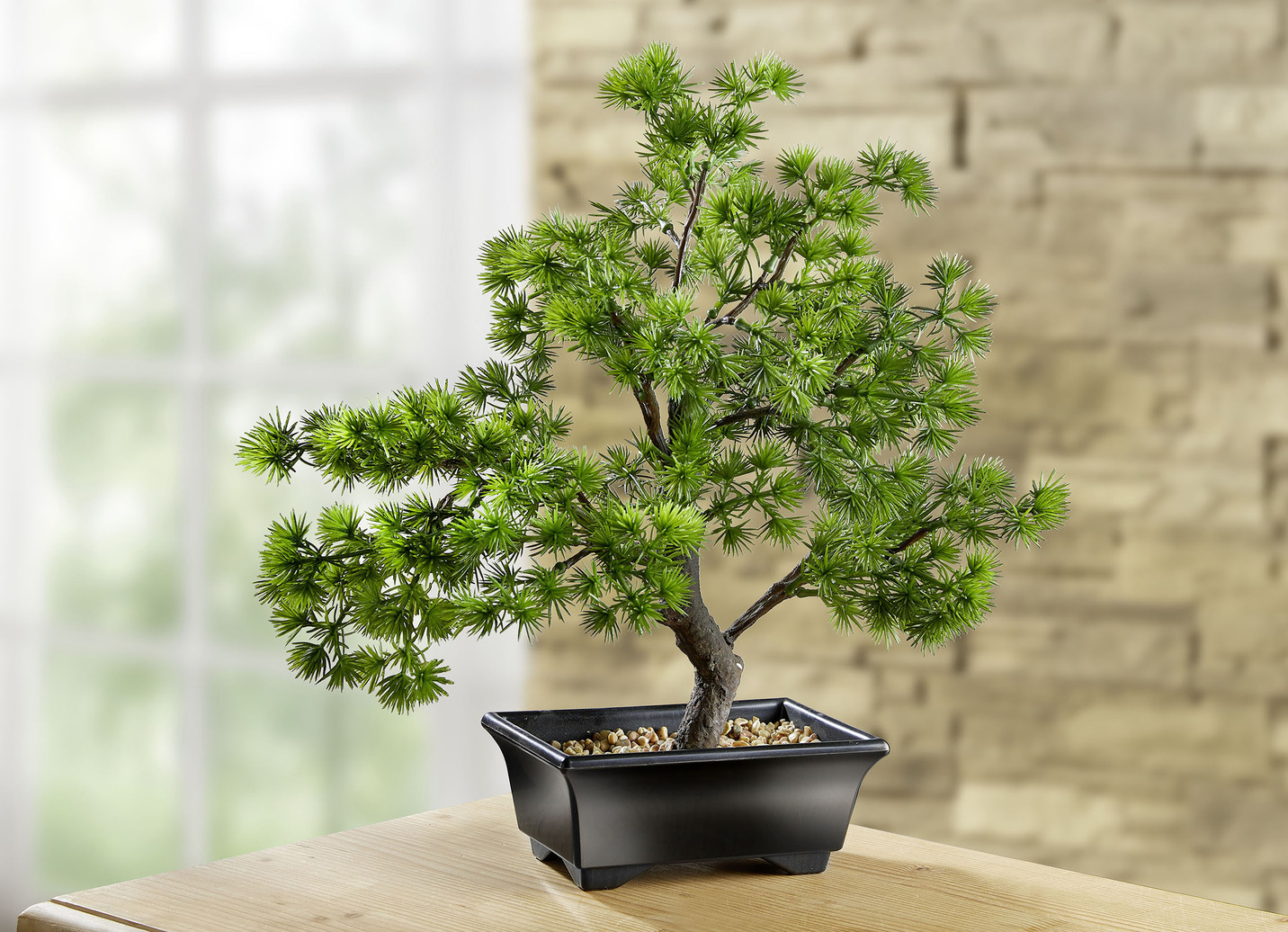 Bonsai im Kunststoff-Topf