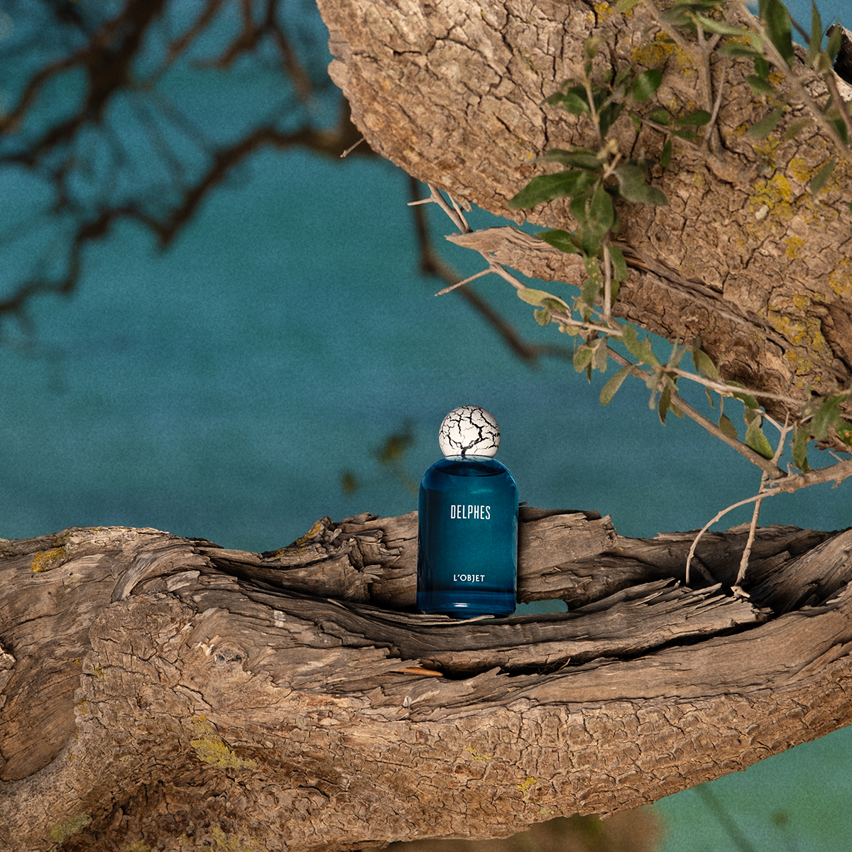 Delphes Eau de Parfum 50ml
