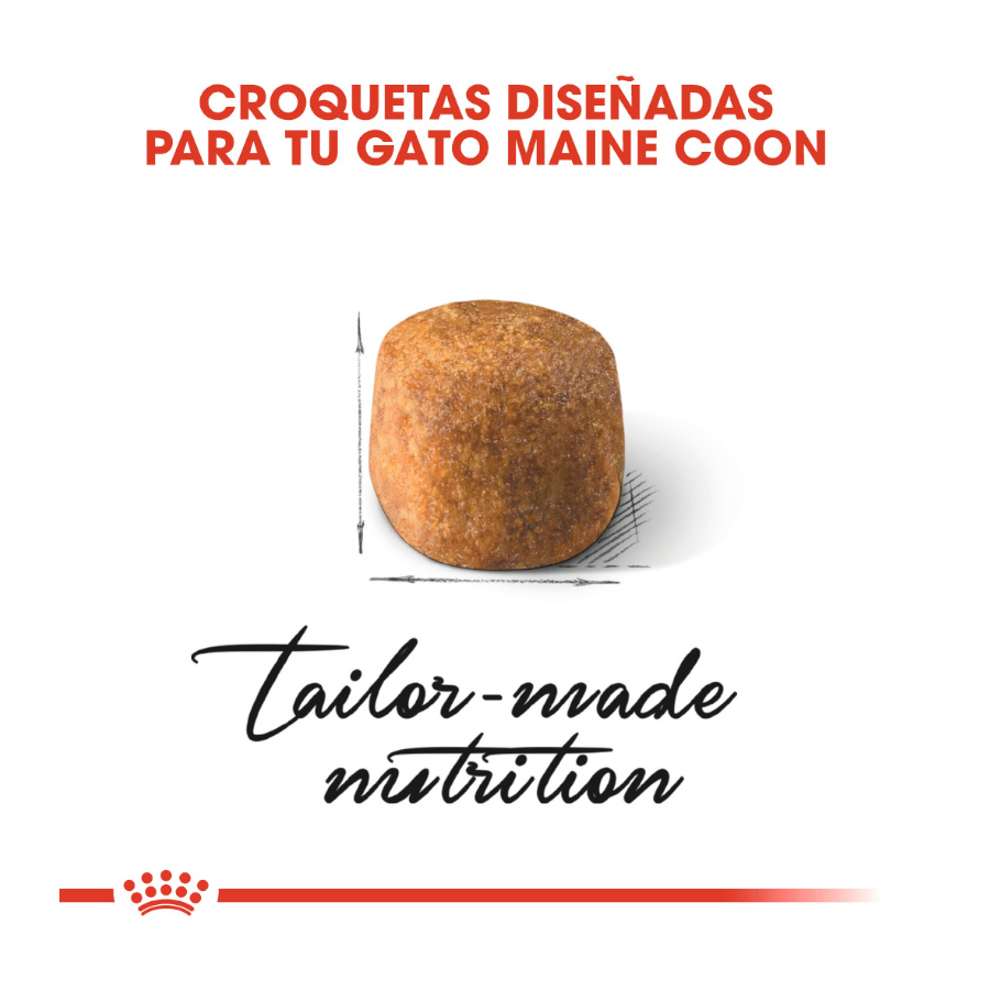 Ração Royal Canin Adult Maine Coon para gatos