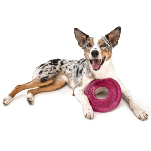 Disco voador rosa para cães
