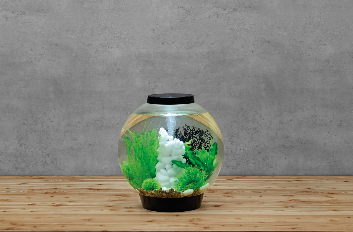 biOrb Classic 30 LED Zwart