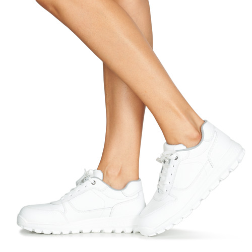 Casual Attitude - NABEILLE - Blanc