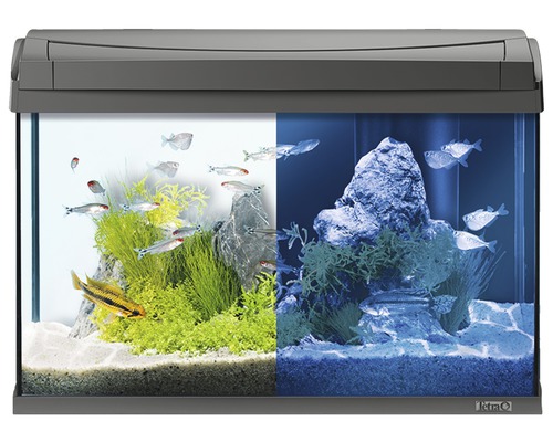 Tetra AquaArt Discovery Line 60L aquarium met LED-verlichting, verwarming, filter en voer, zonder kast, antraciet