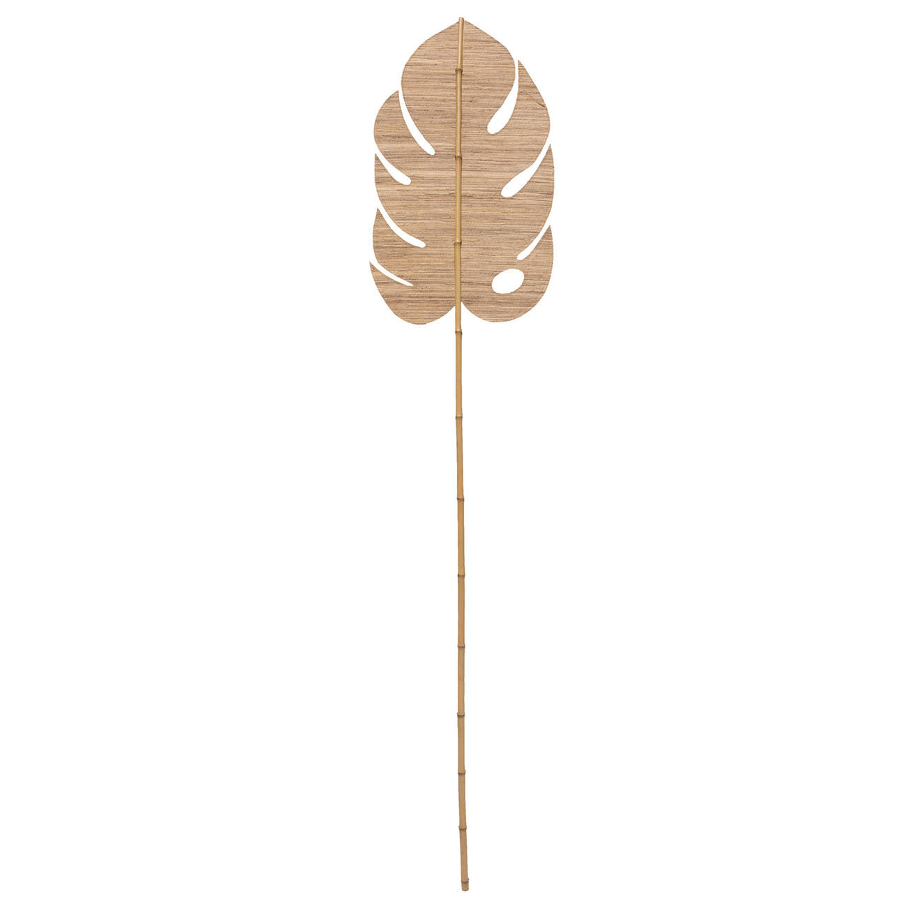 Bazar Bizar 2 Feuilles pagaie Ayung décoratives naturel - L.170 cm