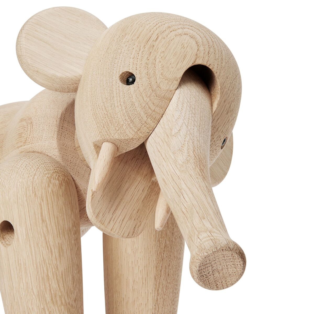 Elefant stor, eik