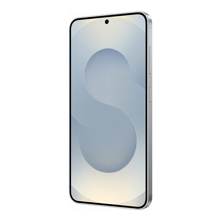Samsung Galaxy S25 5G (Gris) - 256 Go