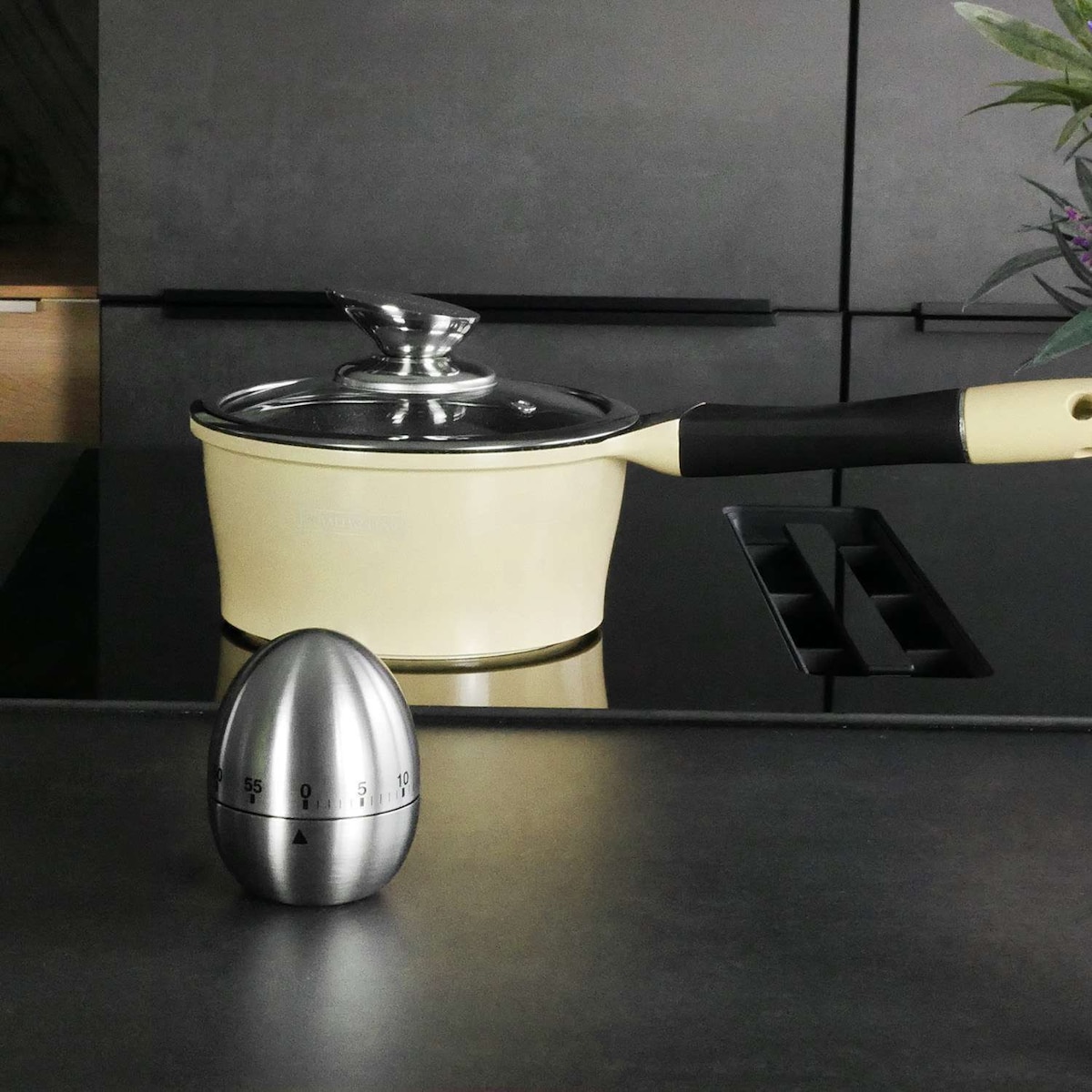 Egg Timer Rustfritt stål Kjøkken Timer (sølv)