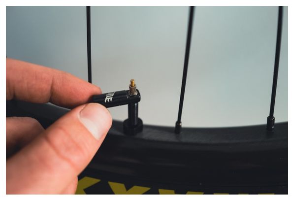Paire de Valves Tubeless Title Presta Chrome