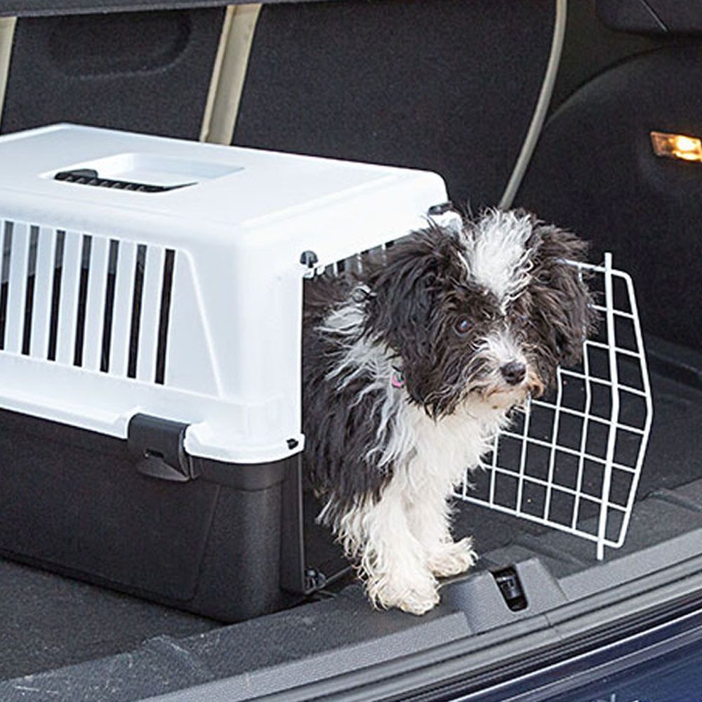Transport rigide pour chats et chiens de petite taille atlas 10 el, porte an acier plastifié, grilles pour l'aération
