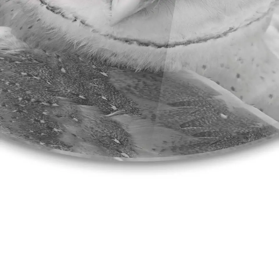 Plexiglasschilderij Kerkuil - Ø 50cm - Zwart-Wit