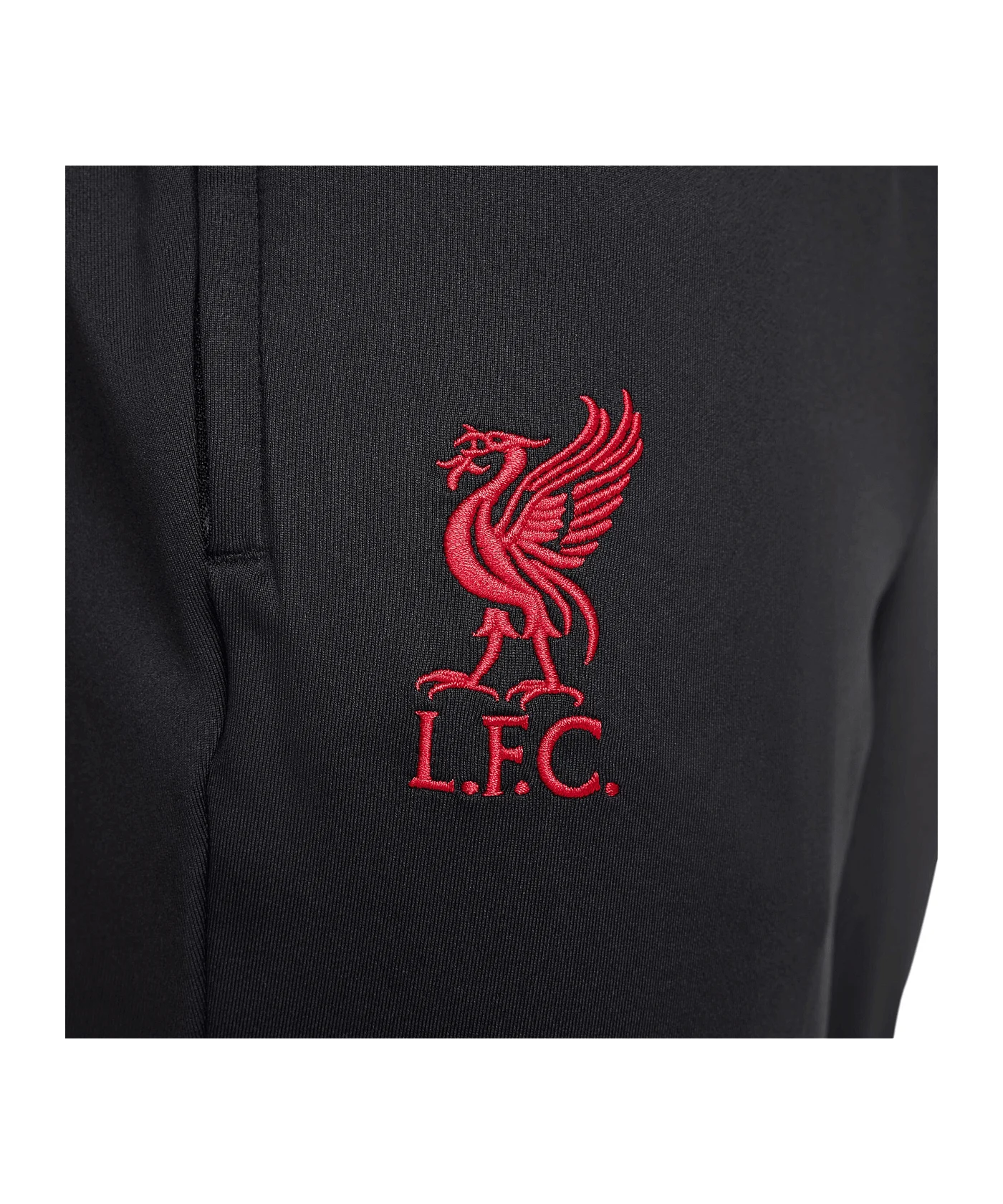Nike FC Liverpool Trainingshose Schwarz F010