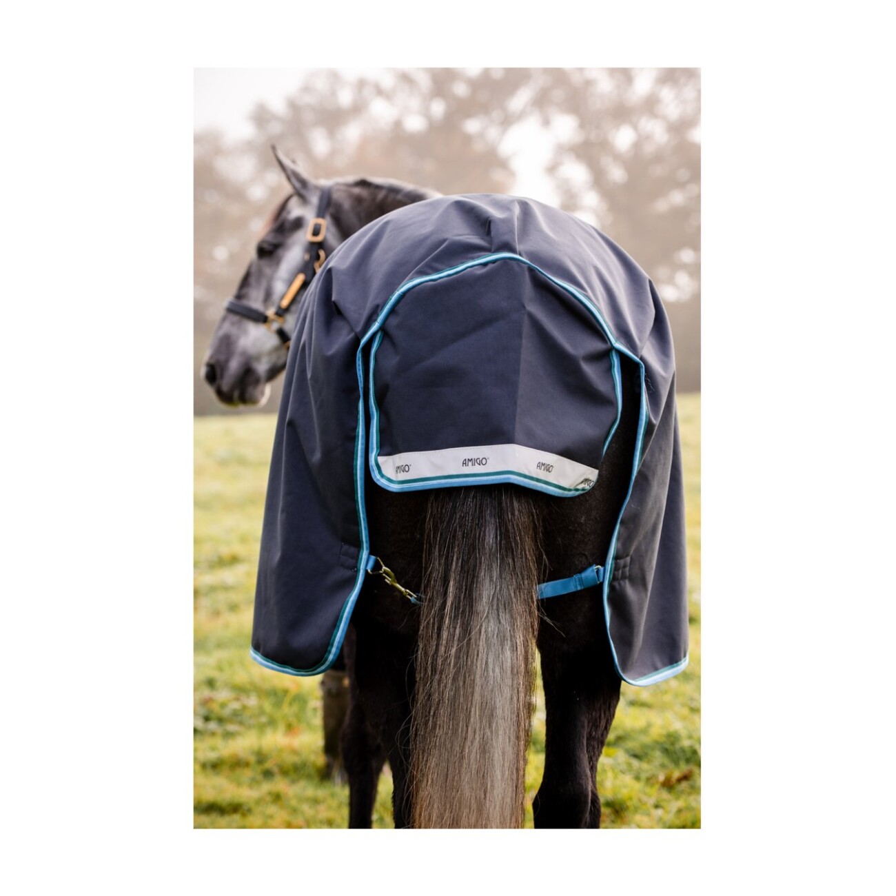 Horseware Regendecke Bravo 12 Turnout 50 g 1,3 m