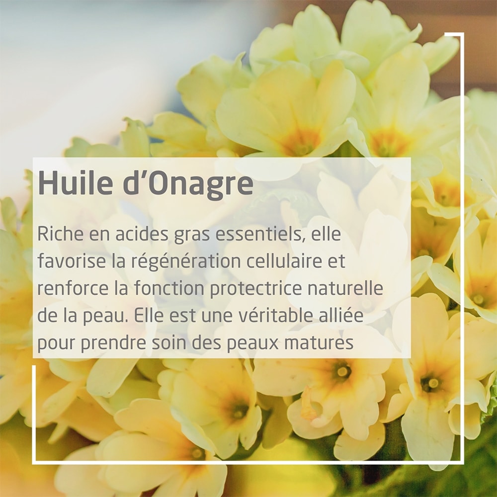 Huile revitalisante - Onagre - Peaux matures - 100 ml