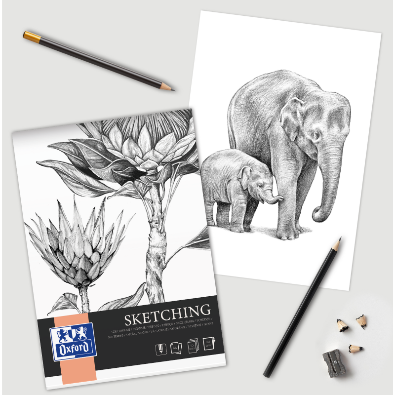 Bloc Sketching Oxford Art Endosse 210X297 100P 120G Uni