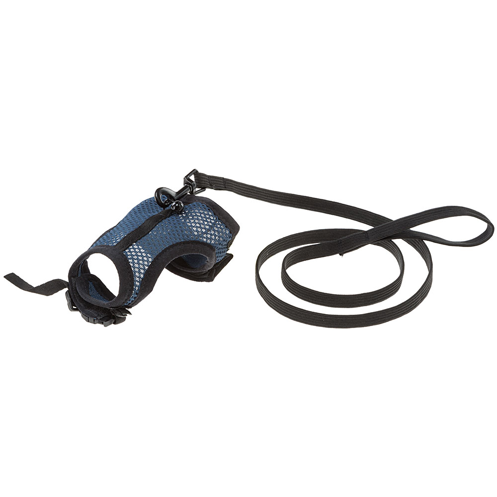 Harnais pour cochons d'inde jogging m, en filet perforé, equipé de laisse