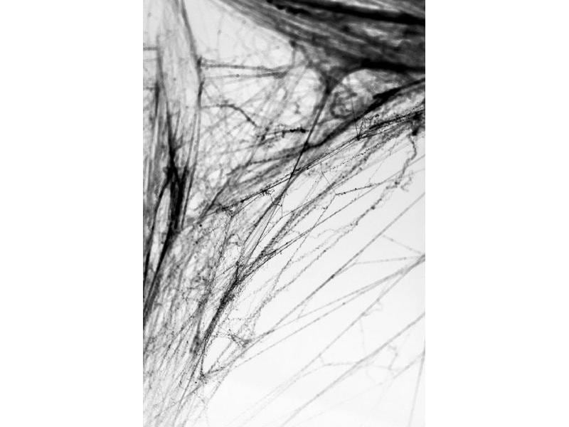 Partydeco Spinnengewebe Halloween 60g, Schwarz Deko Halloween Spinnennetz