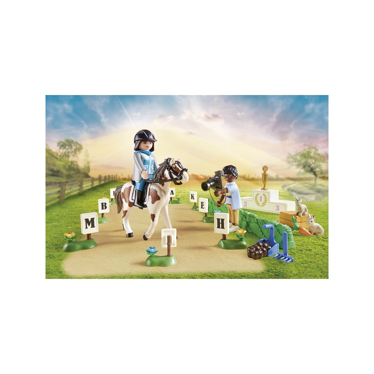 COUNTRY PARCOURS OBSTACLES CHEVAUX