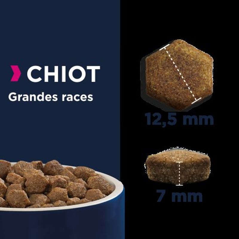 Eukanuba Grain Free Puppy Large Breed avec du saumon