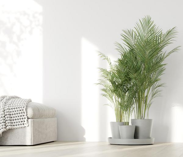 Ecopots Kunststoff-Topf-Set Dubai mit