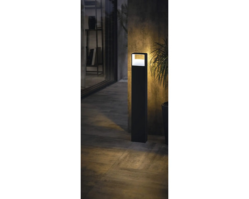 LED-buitenvloerlamp 6,2W 550 lm 3000 K warm wit HxB: 800x135 mm Doninni antraciet